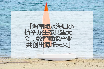 海南陵水海归小镇举办生态共建大会，数智赋能产业共创出海新未来