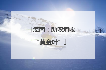 海南：助农增收 “黄金叶”