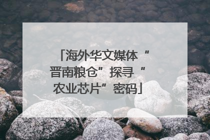 海外华文媒体“晋南粮仓”探寻“农业芯片”密码