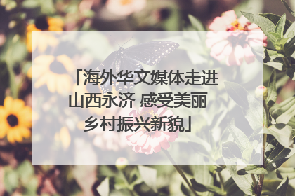 海外华文媒体走进山西永济 感受美丽乡村振兴新貌