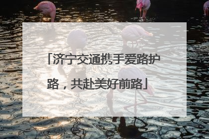 济宁交通携手爱路护路，共赴美好前路
