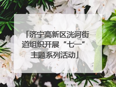 济宁高新区洸河街道组织开展“七一” 主题系列活动