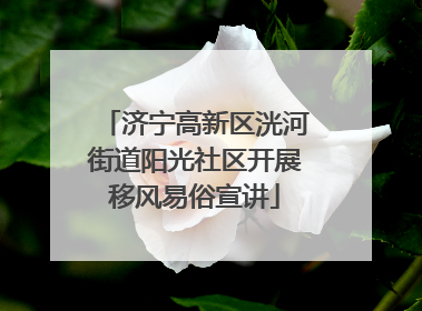 济宁高新区洸河街道阳光社区开展移风易俗宣讲