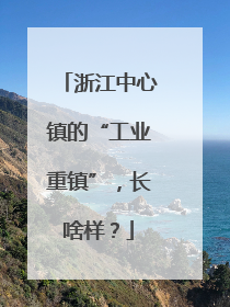浙江中心镇的“工业重镇”，长啥样？