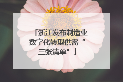 浙江发布制造业数字化转型供需“三张清单”