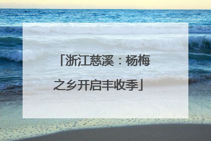浙江慈溪：杨梅之乡开启丰收季