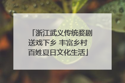 浙江武义传统婺剧送戏下乡 丰富乡村百姓夏日文化生活