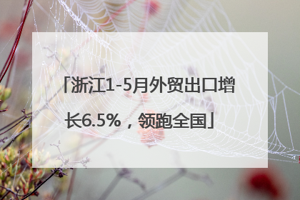 浙江1-5月外贸出口增长6.5%，领跑全国