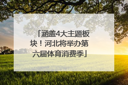 涵盖4大主题板块！河北将举办第六届体育消费季