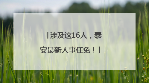 涉及这16人，泰安最新人事任免！