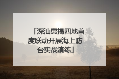 深汕惠揭四地首度联动开展海上防台实战演练
