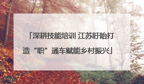 深耕技能培训 江苏盱眙打造“职”通车赋能乡村振兴