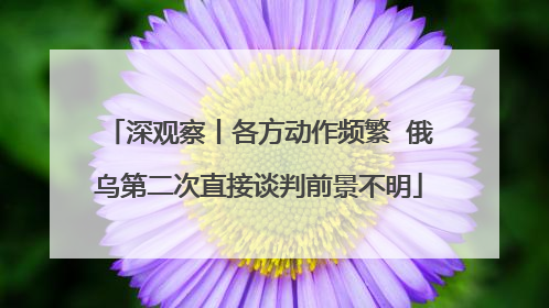 深观察丨各方动作频繁  俄乌第二次直接谈判前景不明