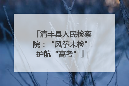 清丰县人民检察院：“风筝未检”护航“高考”