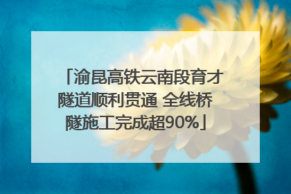 渝昆高铁云南段育才隧道顺利贯通 全线桥隧施工完成超90%
