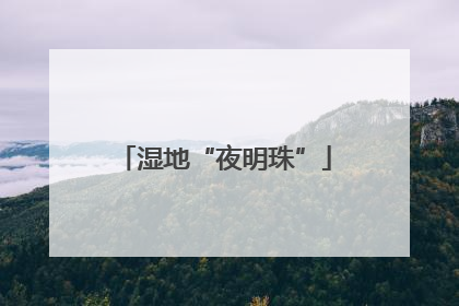 湿地“夜明珠”