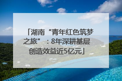 湖南“青年红色筑梦之旅”：8年深耕基层创造效益近5亿元