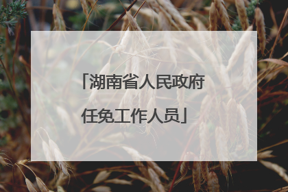 湖南省人民政府任免工作人员