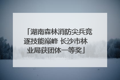 湖南森林消防尖兵竞逐技能巅峰 长沙市林业局获团体一等奖
