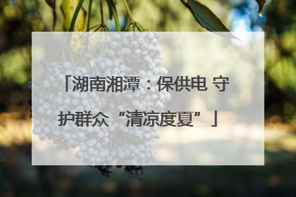 湖南湘潭：保供电 守护群众“清凉度夏”