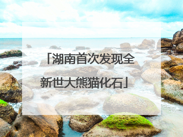 湖南首次发现全新世大熊猫化石