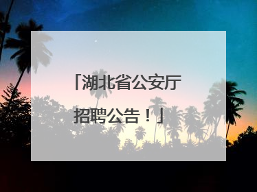 湖北省公安厅招聘公告！