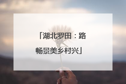 湖北罗田：路畅景美乡村兴