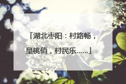 湖北枣阳：村路畅，皇桃俏，村民乐……