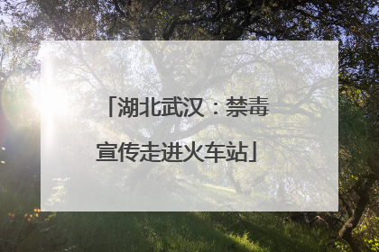 湖北武汉：禁毒宣传走进火车站