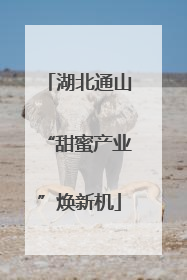湖北通山“甜蜜产业”焕新机