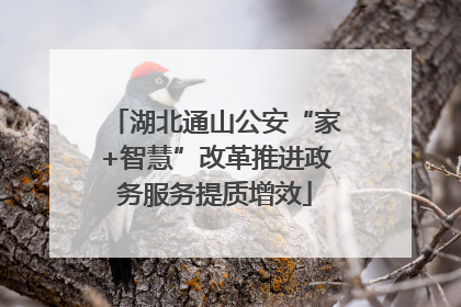 湖北通山公安“家+智慧”改革推进政务服务提质增效