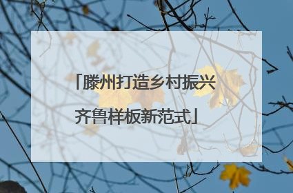 滕州打造乡村振兴齐鲁样板新范式