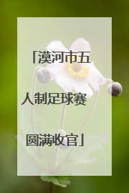 漠河市五人制足球赛圆满收官