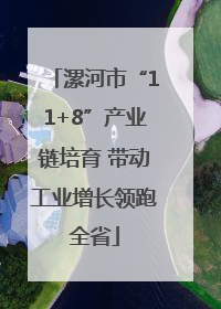 漯河市“11+8”产业链培育 带动工业增长领跑全省