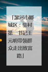 漯河市郾城区：驻村第一书记王元明带领群众走出致富路