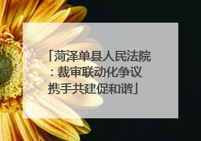 菏泽单县人民法院：裁审联动化争议 携手共建促和谐