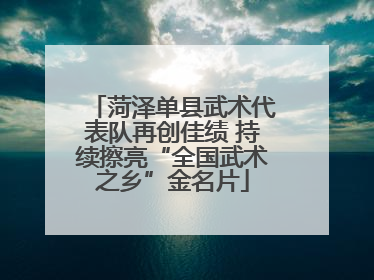 菏泽单县武术代表队再创佳绩 持续擦亮“全国武术之乡”金名片