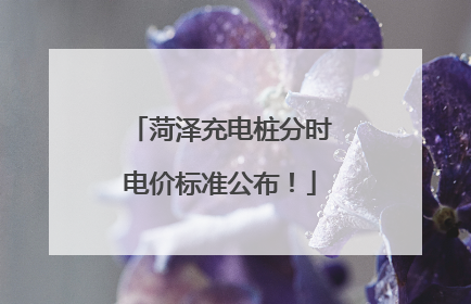 菏泽充电桩分时电价标准公布！