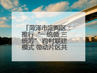 菏泽市定陶区：推行“一统领 三统筹” 跨村联建模式 带动片区共同富裕