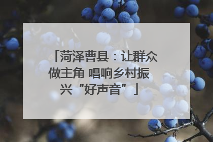 菏泽曹县：让群众做主角 唱响乡村振兴“好声音”