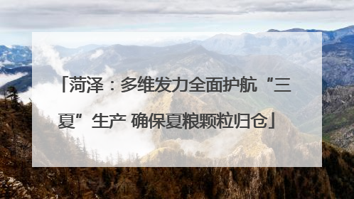 菏泽：多维发力全面护航“三夏”生产 确保夏粮颗粒归仓