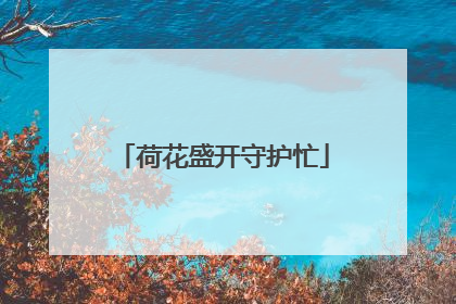 荷花盛开守护忙