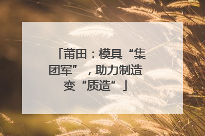 莆田：模具“集团军”，助力制造变“质造”