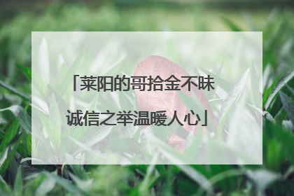 莱阳的哥拾金不昧 诚信之举温暖人心