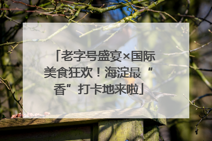 老字号盛宴×国际美食狂欢！海淀最“香”打卡地来啦