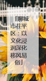 聊城市茌平区：以文化浸润深化移风易俗