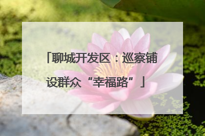聊城开发区：巡察铺设群众“幸福路”