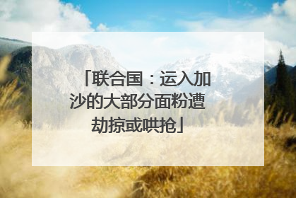 联合国：运入加沙的大部分面粉遭劫掠或哄抢
