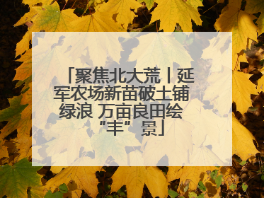 聚焦北大荒丨延军农场新苗破土铺绿浪 万亩良田绘“丰”景