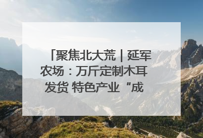 聚焦北大荒｜延军农场：万斤定制木耳发货 特色产业“成绩单”亮眼